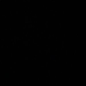 Meet your Posher, Robyn